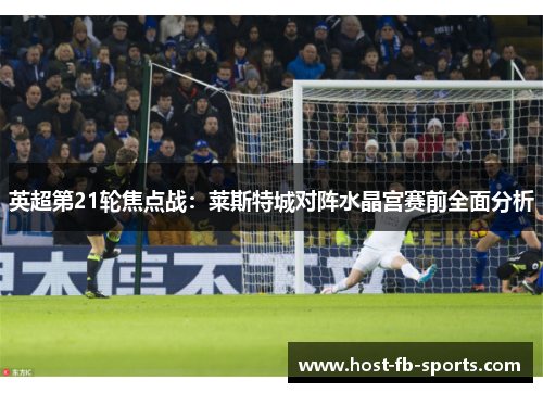 英超第21轮焦点战:莱斯特城对阵水晶宫赛前全面分析 英超第21轮焦点战:莱斯特城对阵水晶宫赛前全面分析